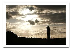 фото "there is a light (#1)"