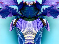 photo "Something..."