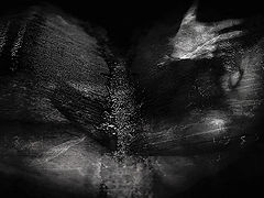 photo "no stranger"