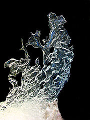 фото "Sculpture....by Mother Nature"