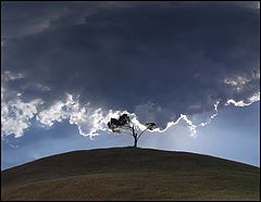 фото "Befor the sturm"