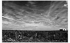 photo "fields"