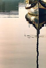 фото "water realms"