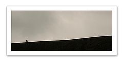 фото "lost"