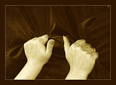 photo "Passion....."