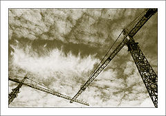 photo "Cranes"