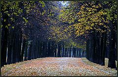 photo "Untitled photo"