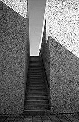 photo "The Way"