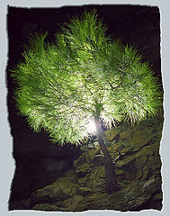 photo "Experiment"