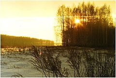 фото "Зимнее утро"