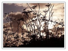 фото "there is a light (#2)"
