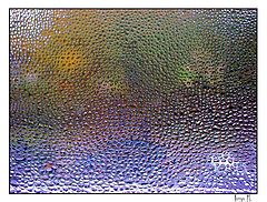 photo "Whim"