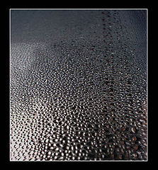 photo "Untitled photo"