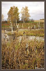 photo "Pond in past"
