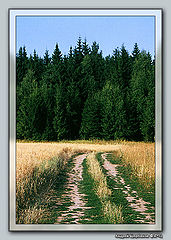 photo "Midrussian landscape"