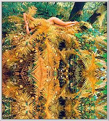 photo "Autumn rest of Diane"