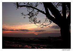 photo "the first light"