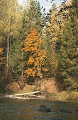 photo "River and fall"