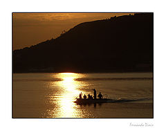 photo "Celebration of fishes"