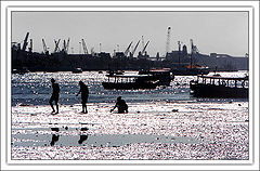 фото "Seeking for Crab"