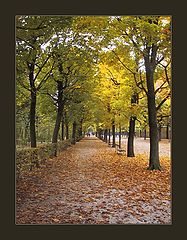 фото "Autumn Park"