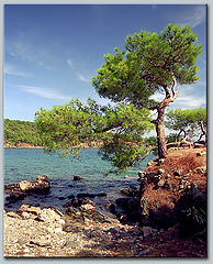photo "Turkey a landscape"