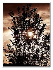 фото "there is a light (#3)"