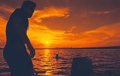 photo "Sunset #1"