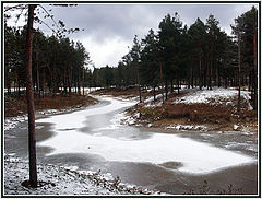 фото "Первый снег"