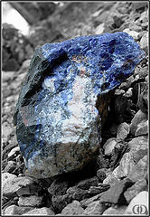 фото "A Gem Among Stones"