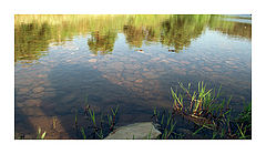 photo "Transparencias"