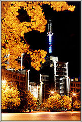 фото "Autumn In Kharkov"