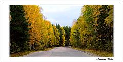 photo "Autumn turn."