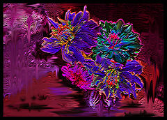 фото "take the flower"