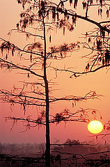 фото "Sunrise....Florida Everglades"