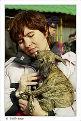 photo "Lady with the Dog/Wippet"