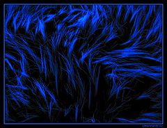 photo "White Carpet on Blue Light"