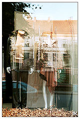 photo "Autumn show-window"