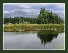photo "Pictures of a nature"