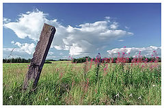 фото "Фотка без смысла... :)))"