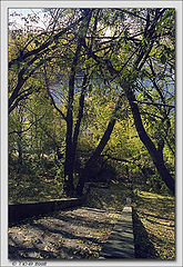 photo "OLd Stairs or "Come on downstairs""