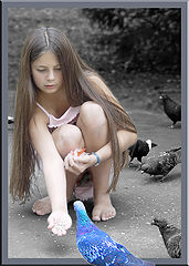 photo "The only one"