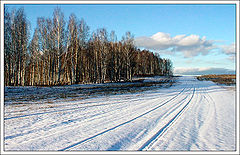 photo "Winter sketch"