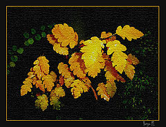 photo "Branch of light"