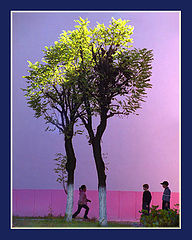 photo "Return to pink"
