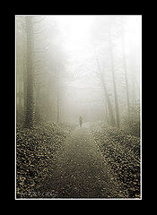 фото "Misty Ambiences"