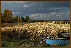 фото "Очарование осени"