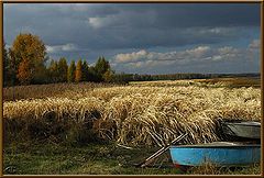 photo "Fall Charm"