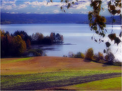 фото "Autumn"