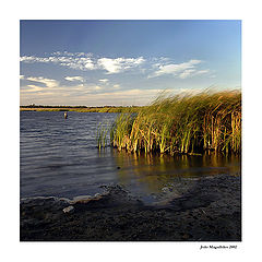 фото "Windy end of the day"